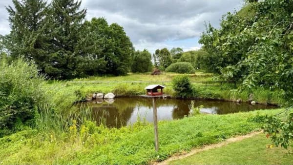 Immobilie in Havetoft - 4-Zimmer-Bungalow mit großem Grundstück und angrenzender Koppel in Havetoft-Hostrup - Bild 2