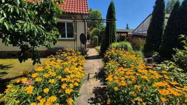 Immobilie in Märkisch Buchholz - Wohnen im Grünen mit Gartenteich und zusätzlichem Gästehaus - Bild 2