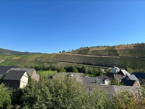 Immobilie in Neumagen-Dhron - Mehr als ein Haus – ein Ort für Familie, Hobbys und Lebensqualität in Neumagen-Dhron - Bild 2