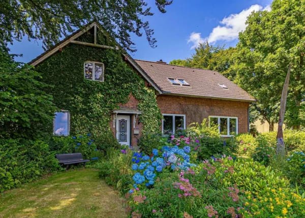 Immobilie in Risum-Lindholm - -Altes Pastorat- Großes Wohnhaus mit Nebengebäuden auf einzigartigem Naturgrundstück in Dorfkernlage - Bild 4
