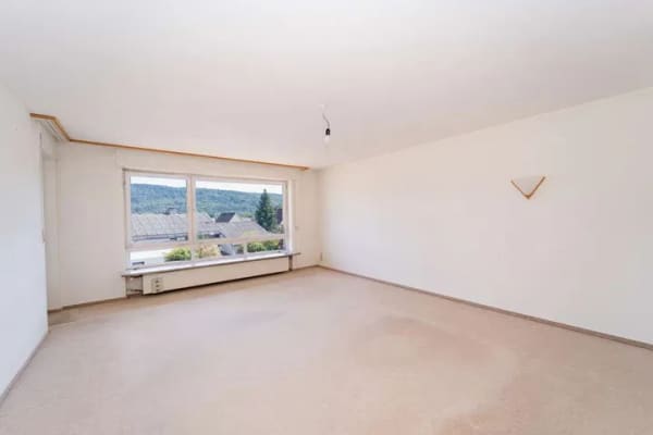 Immobilie in Albbruck - großzügige Wohnung in 2-Familienhaus mit traumhaftem Grundstück, Einzelgarage u. v. m. in Albbruck - Bild 1