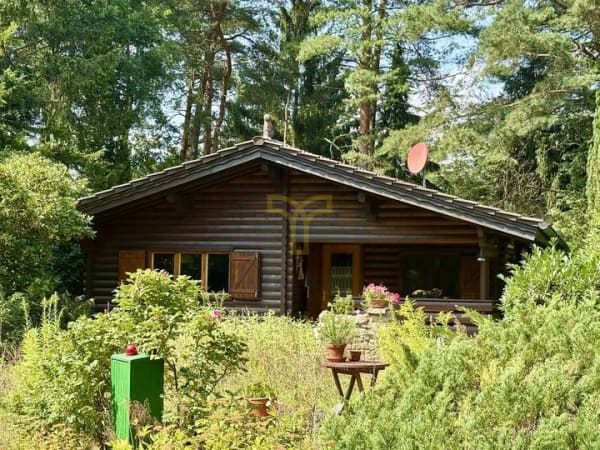 Immobilie in Dedelstorf - Charmantes Blockhaus in idyllischer, naturnaher Umgebung - Bild 0