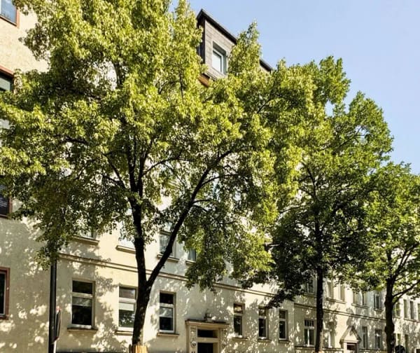 Immobilie in Leipzig - Immobilienpaket Leipzig | 2 Wohnungen & 1 Gewerbeeinheit zum Kauf - Bild 0