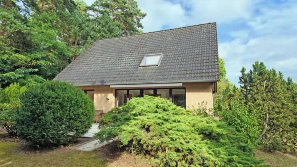 Immobilie in Harmstorf - Gepflegtes Familienhaus in schöner Lage am Waldrand - Bild 2