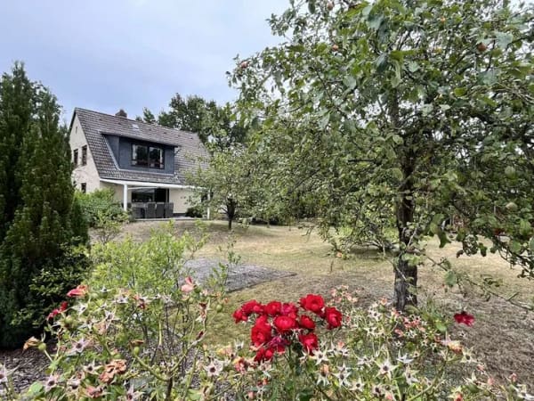 Immobilie in Meinersen - Idylle pur! Modernisiertes EFH (2. WE möglich!) u.a. mit neuer EBK in ruhiger Lage von Päse - Bild 0