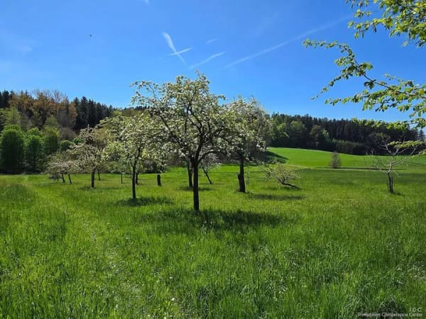 Immobilie in Wurmannsquick - *** Besichtigungstage Sa. 22. & So. 23.08.2026 *** Sanierter Vierseithof - 11.500m² Wiese/Wald/Bach 320m² Wohnfläche + 500m² Nutz- und Nebenfl - Bild 2