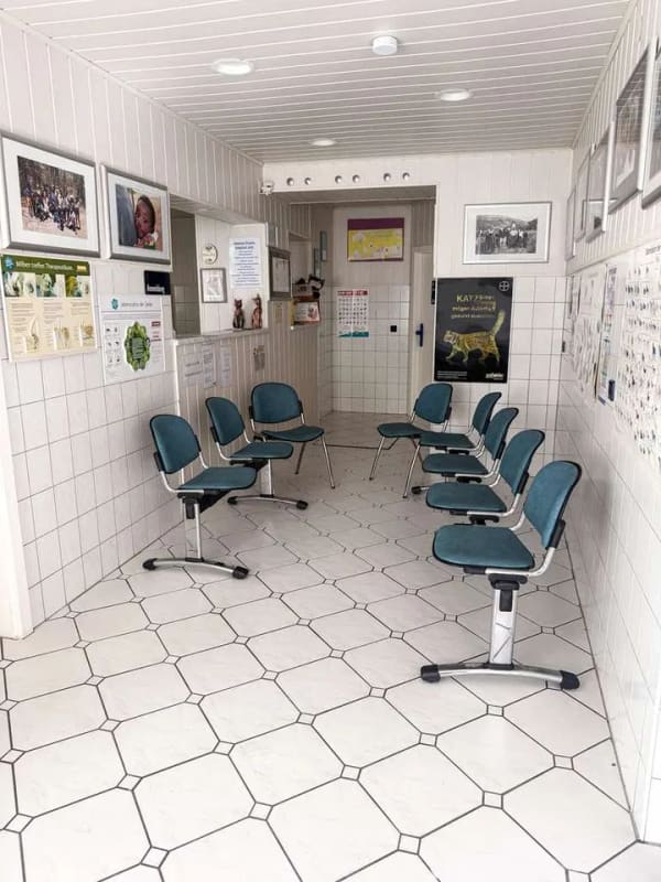 Immobilie in Hohenstein-Ernstthal - Attraktives Mehrfamilienhaus mit großzügiger Gewerbeeinheit in zentraler Lage - Bild 3