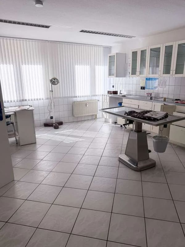 Immobilie in Hohenstein-Ernstthal - Attraktives Mehrfamilienhaus mit großzügiger Gewerbeeinheit in zentraler Lage - Bild 4