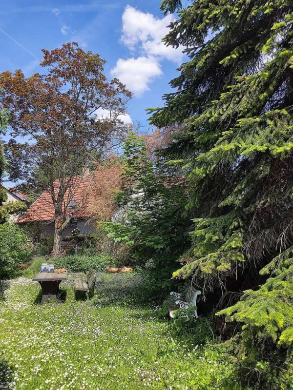 Immobilie in Langenlonsheim - Ein echtes Einzelstück: Gartenparadies mit Pool, Terrassen, Scheune & Garage, Wohnhaus mit 2 Wohnei - Bild 1