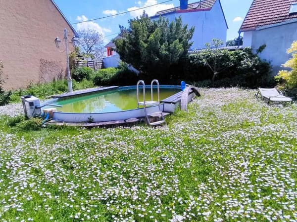Immobilie in Langenlonsheim - Ein echtes Einzelstück: Gartenparadies mit Pool, Terrassen, Scheune & Garage, Wohnhaus mit 2 Wohnei - Bild 2