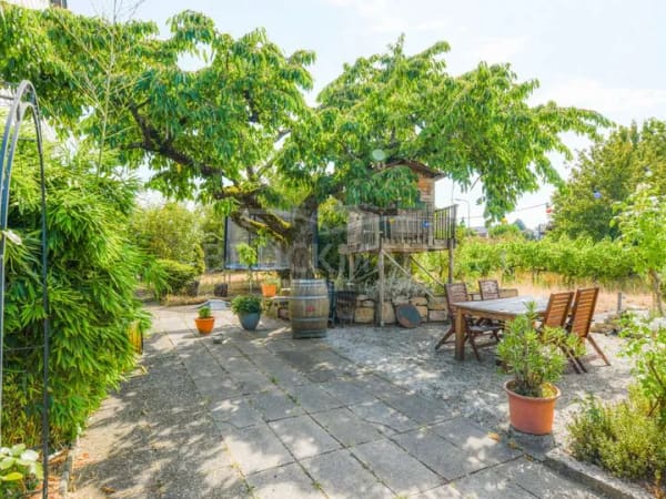 Immobilie in Kallstadt - Kallstadter Ortsrandlage: Zwischen Weinbergen, Remise & zwei Haustüren liegen viele Möglichkeiten! - Bild 4