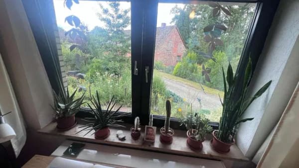 Immobilie in Uelzen - Charmante Doppelhaushälfte mit liebevoll angelegtem Garten in Uelzen - Bild 3