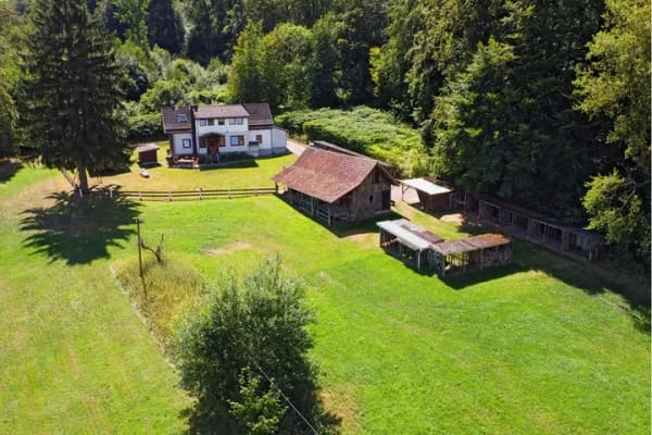 Immobilie in Dransfeld - Unikat unterm Gaußturm - 7.500 m2 Landsitz in absoluter Alleinlage bei Göttingen - Bild 3