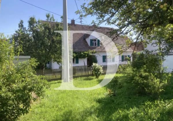 Immobilie in Wertingen - Idyllisches Einfamilienhaus mit großem Garten - Bild 3