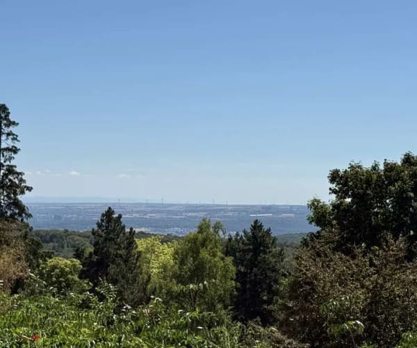 Immobilie in Schlangenbad - PURE LEBENSQUALITÄT AM WALDRAND VON GEORGENBORN! GROSSES FAMILIENDOMIZIL MIT POOL - Bild 1