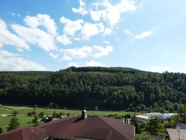 Immobilie in Zwiefalten - AUMÜLLER-Immobilien - Modernes EFH mit Einliegerwohnung in Hanglage mit fantastischem Fernblick - Bild 3