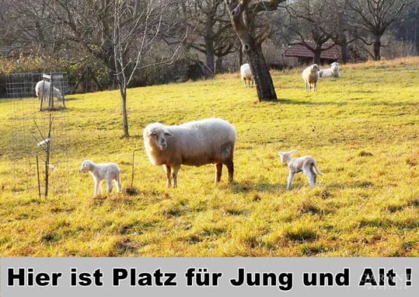 Immobilie in Owen - ** Raumwunder-Zweifamilienhaus ** - Bild 0