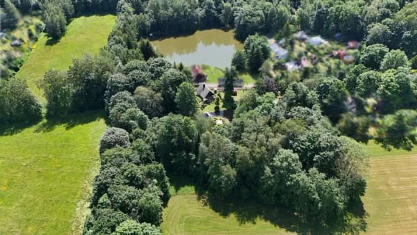 Immobilie in Ehrenfriedersdorf - Traumhaftes Gartengrundstück mit großem Teich & 2 massiven,  schönen Bungalows in Ehrenfriedersdorf - Bild 2