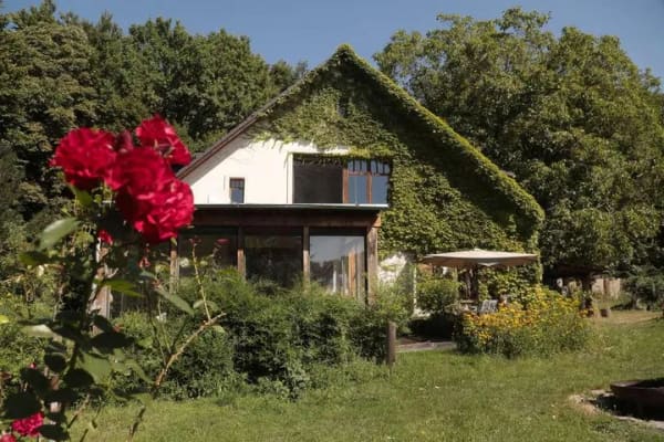 Immobilie in Oberuckersee - Ein besonderer Ort für Menschen mit Ideen - Bild 1