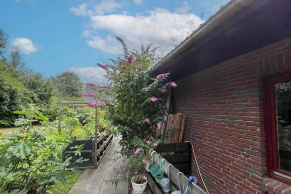 Immobilie in Tarp - Richtig zuhause: Gepflegtes Einfamilienhaus samt Garten in Tarp - Bild 3