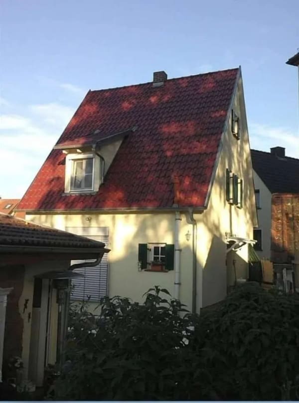 Immobilie in Leinach - Schmuckstück mit Charme zu verkaufen, provisionsfrei - Bild 0