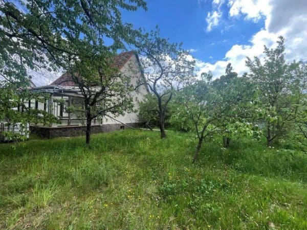Immobilie in Senftenberg - Viel Platz für Ihre Wohnträume - Sanierungsobjekt mit großem Potenzial im Sedlitzer Seenland - Bild 0