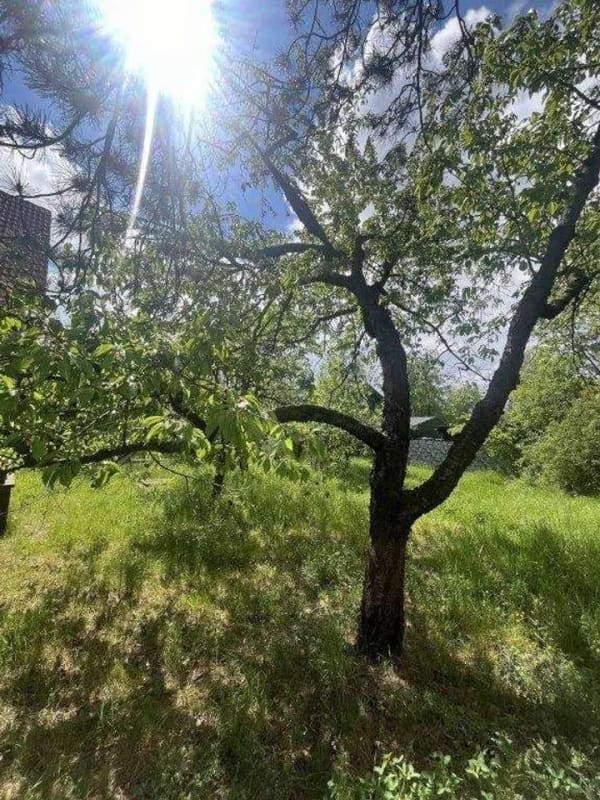 Immobilie in Senftenberg - Viel Platz für Ihre Wohnträume - Sanierungsobjekt mit großem Potenzial im Sedlitzer Seenland - Bild 2