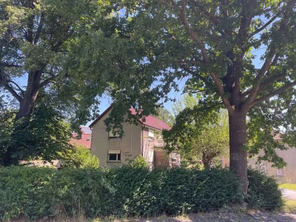 Immobilie in Vierkirchen - Hier steckt dein neues Zuhause drin - Bild 3