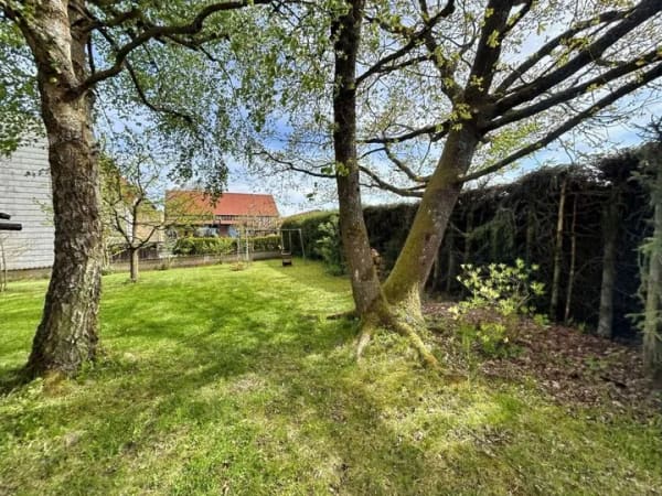 Immobilie in Rabenau - Freistehendes Einfamilienhaus mit unverbaubarem Feldblick in Rabenau-Rüddingshausen
 - Bild 2