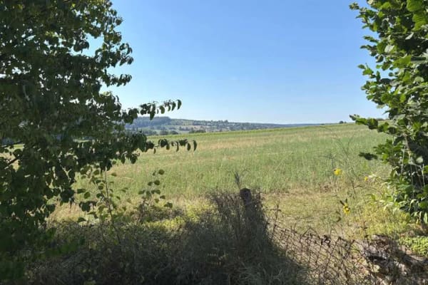 Immobilie in Berglen - Frei stehendes Einfamilienhaus mit großem Garten in Berglen-Rettersburg - Bild 3