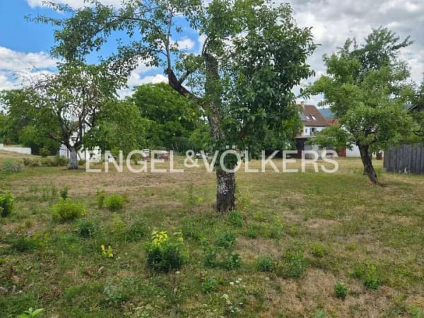 Immobilie in Nehren - Historische Töpferei mit Wohnhaus und großzügigem Grundstück - Bild 3