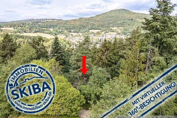 Immobilie in Antweiler - Idyllische Alleinlage: Wochenendhaus inmitten der Natur oberhalb von Antweiler/Ahr - Bild 0