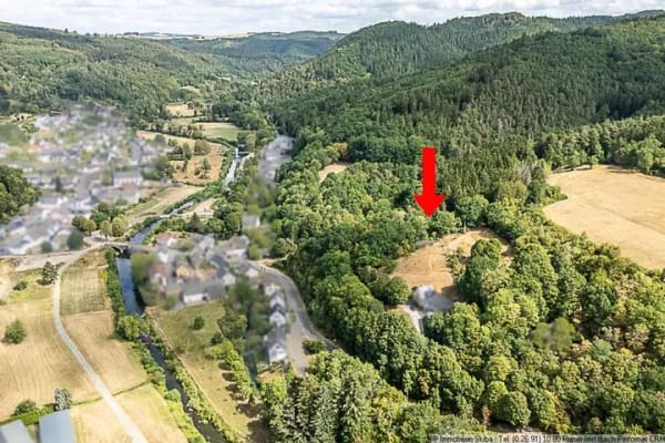 Immobilie in Antweiler - Idyllische Alleinlage: Wochenendhaus inmitten der Natur oberhalb von Antweiler/Ahr - Bild 3