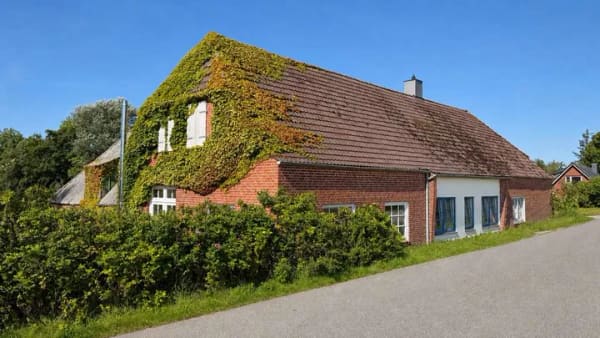 Immobilie in Simonsberg - Ihr Domizil am Deich – Haus mit Stall, der Nordsee ganz nah! - Bild 1
