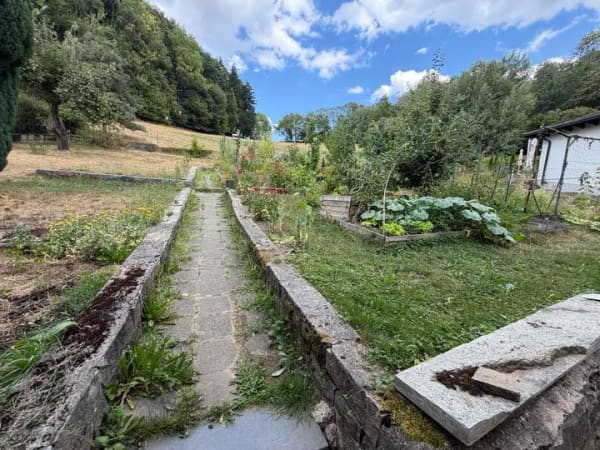 Immobilie in Lautertal - Wohnen im Grünen - gepflegtes Ein – bis Zweifamilienhaus in Feldrandlage - Bild 4
