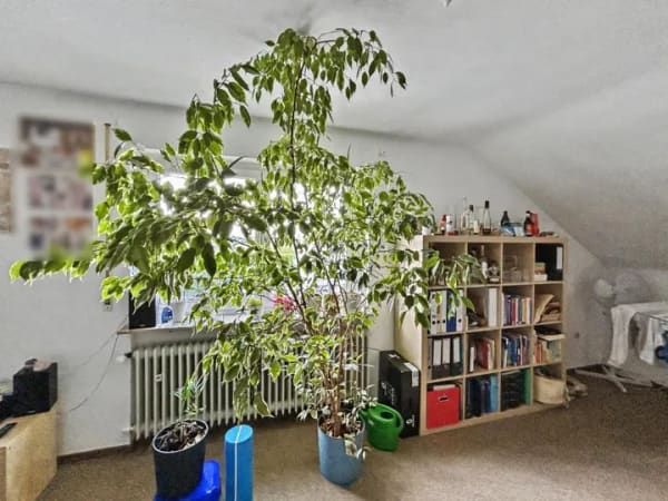 Immobilie in Baienfurt - Dachgeschosswohnung in Baienfurt - Bild 1