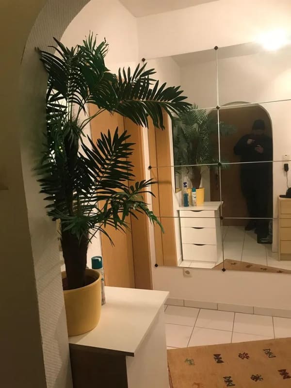 Immobilie in Tännesberg - Wohnung in Tännesberg - Bild 0