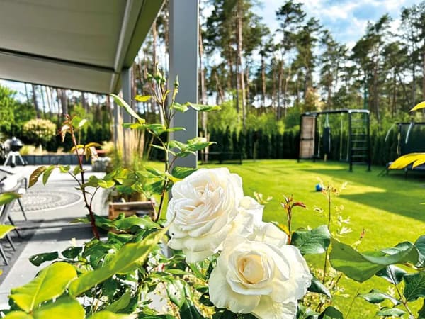 Immobilie in Borkwalde - Stilvolle Neubauvilla im KfW-40-Plus-Standard mit 7,5 Zimmern vor den Toren Potsdams und Berlins - Bild 3