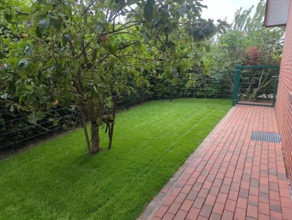Immobilie in Ankum - Familien aufgepasst – modernes Einfamilienhaus mit 5 Zimmern, Garten und Garage in bester Lage - Bild 2