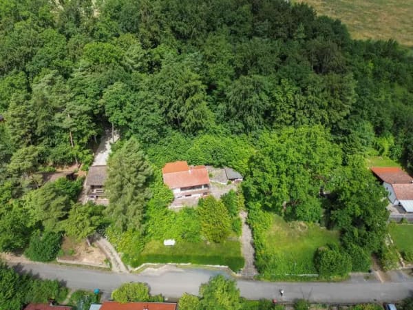 Immobilie in Rosdorf - freistehendes Wohnhaus mit eigene Waldflächen in Atzenhausen - Bild 3