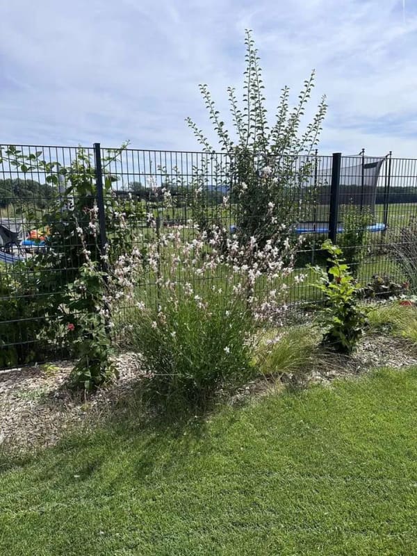 Immobilie in Sulzheim - Ihr privates Refugium in Mönchstockheim - Luxus trifft auf grenzenlose Aussicht - Bild 4