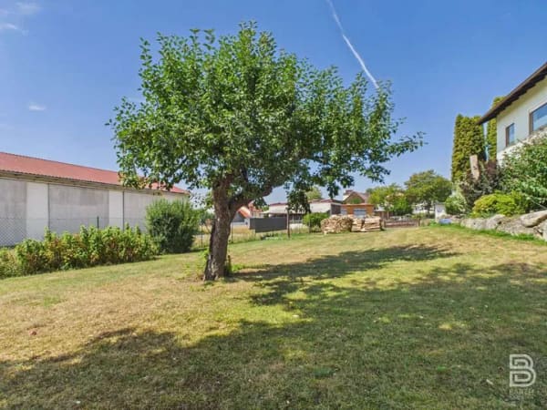 Immobilie in Altmannstein - Wohnen, vermieten, entwickeln – vielseitiges Anwesen auf 3.320 m² - Bild 4