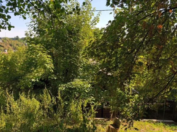 Immobilie in Stromberg - Solides Liebhaberhaus mit Charme, sofort frei mit großem Grundstücksanteil - ABER es ist ARBEIT. - Bild 2
