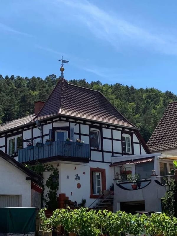 Immobilie in Hauenstein - 6,3% Kapitalanlage in Hauenstein - 2 renovierte, vermiete Wohnungen im Paket - Bild 0