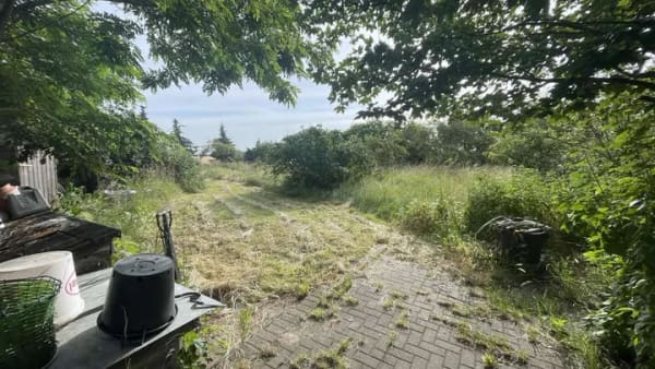 Immobilie in Barby - DENKMAL drüber nach! - Bild 2