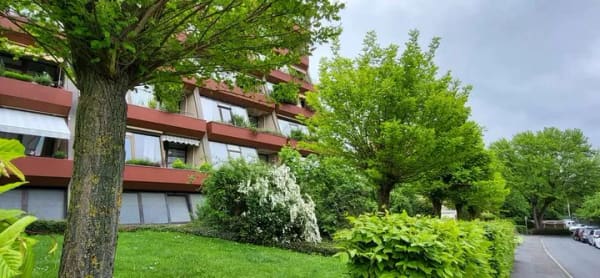 Immobilie in Göttingen - Einziehen & Wohlfühlen – großzügige 3-Zimmer-Wohnung in bester Lage von Göttingen-Geismar - Bild 4