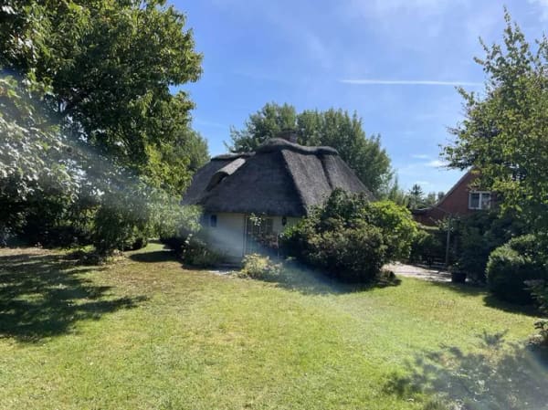 Immobilie in Sankt Annen - Ruhig gelegene, sanierte Reetdachkate auf fast uneinsehbarem angelegten Gartengrundstück - Bild 3