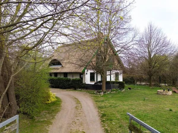 Immobilie in Mölschow - Wohn- und Ferienhaus mit 3 Einheiten - Wohnen mit besonderem Flair auf Usedom - Bild 0