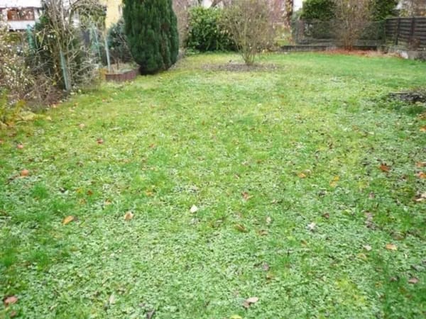 Immobilie in Mayen - Attraktives 3-Familienhaus mit Garten u. 3 Stellplätzen in ruhiger Wohnlage - Bild 2
