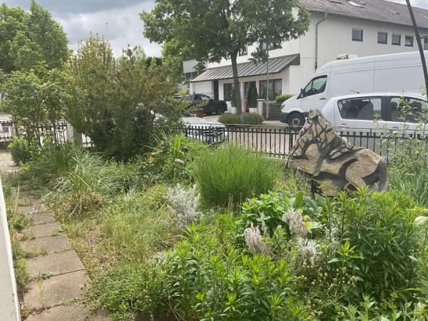 Immobilie in Offingen - Zentrales Wohnglück in Offingen - Freistehendes EFH mit XXL-Terrasse! VB! - Bild 2